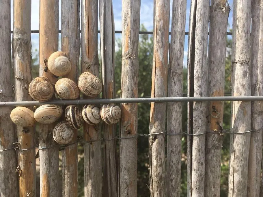 Cortijo Los Garridos - 7 Huespedes Альмерия